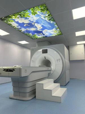 ราคาดี ระบบการถ่ายภาพเสียง 1.5T Faraday Cage Box 100MHZ สําหรับแม่เหล็กที่นําไฟฟ้า ออนไลน์